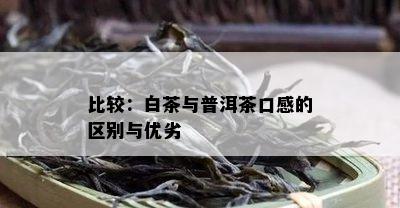 比较：白茶与普洱茶口感的区别与优劣