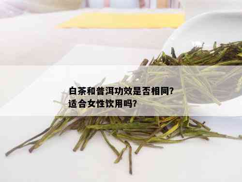 白茶和普洱功效是否相同？适合女性饮用吗？