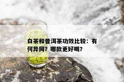 白茶和普洱茶功效比较：有何异同？哪款更好喝？