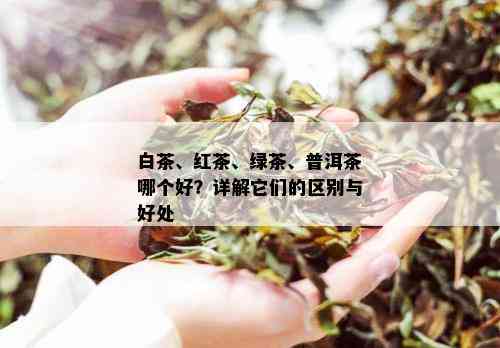 白茶、红茶、绿茶、普洱茶哪个好？详解它们的区别与好处