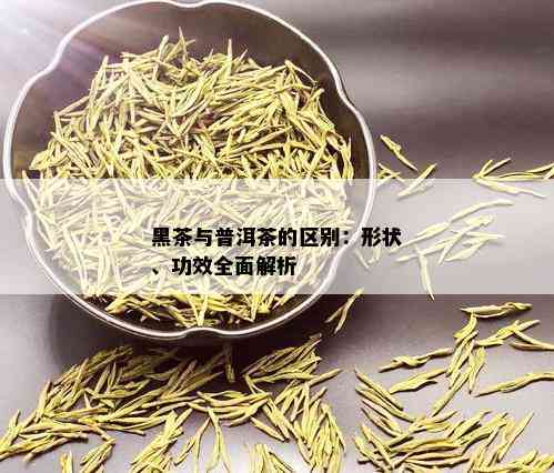 黑茶与普洱茶的区别：形状、功效全面解析