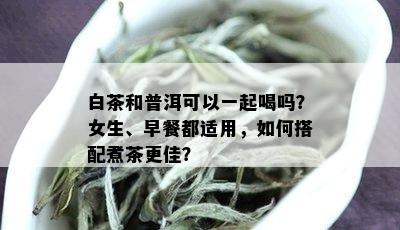 白茶和普洱可以一起喝吗？女生、早餐都适用，如何搭配煮茶更佳？