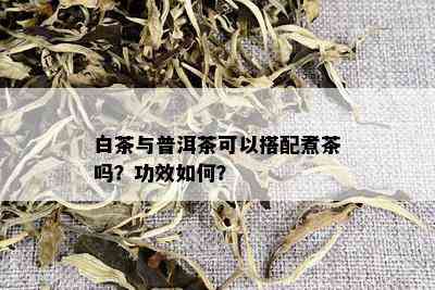 白茶与普洱茶可以搭配煮茶吗？功效如何？