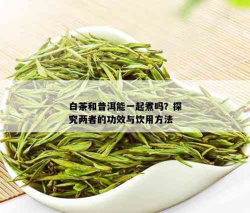 白茶和普洱能一起煮吗？探究两者的功效与饮用方法