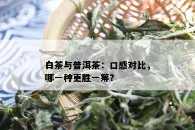 白茶与普洱茶：口感对比，哪一种更胜一筹？