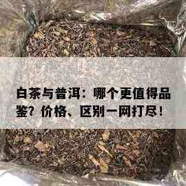 白茶与普洱：哪个更值得品鉴？价格、区别一网打尽！