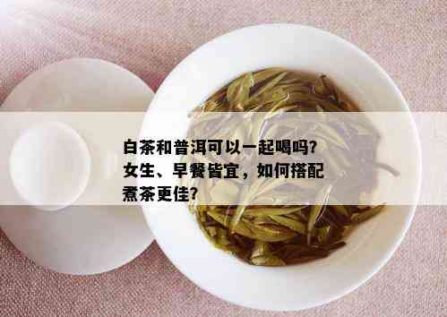 白茶和普洱可以一起喝吗？女生、早餐皆宜，如何搭配煮茶更佳？