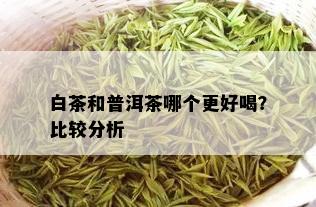 白茶和普洱茶哪个更好喝？比较分析