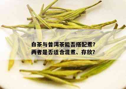 白茶与普洱茶能否搭配煮？两者是否适合混煮、存放？