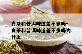 白茶和普洱味道差不多吗-白茶和普洱味道差不多吗为什么