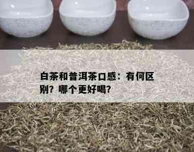 白茶和普洱茶口感：有何区别？哪个更好喝？