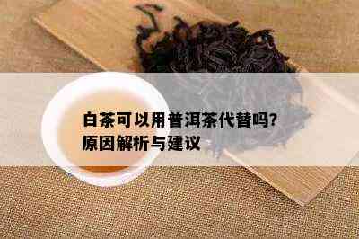 白茶可以用普洱茶代替吗？原因解析与建议