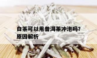 白茶可以用普洱茶冲泡吗？原因解析