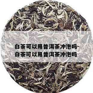 白茶可以用普洱茶冲泡吗-白茶可以用普洱茶冲泡吗