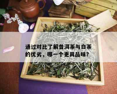 通过对比了解普洱茶与白茶的优劣，哪一个更具品味?