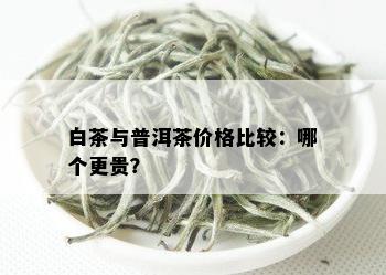 白茶与普洱茶价格比较：哪个更贵？