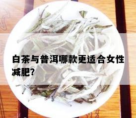 白茶与普洱哪款更适合女性减肥？