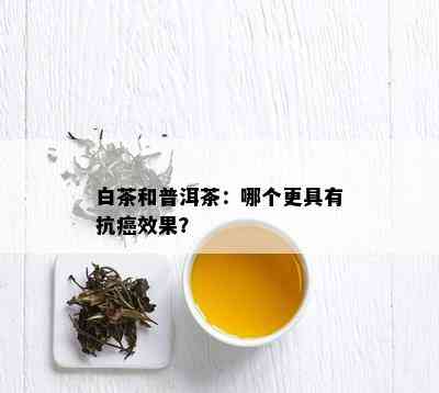 白茶和普洱茶：哪个更具有抗癌效果？