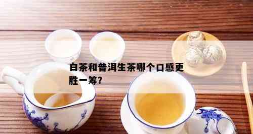 白茶和普洱生茶哪个口感更胜一筹？