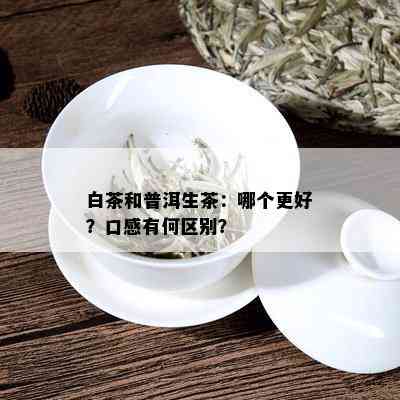 白茶和普洱生茶：哪个更好？口感有何区别？