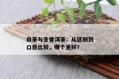 白茶与生普洱茶：从区别到口感比较，哪个更好？