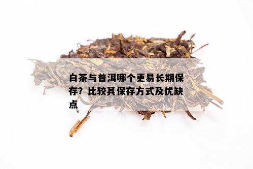 白茶与普洱哪个更易长期保存？比较其保存方式及优缺点