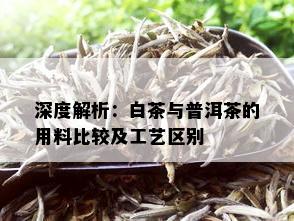 深度解析：白茶与普洱茶的用料比较及工艺区别