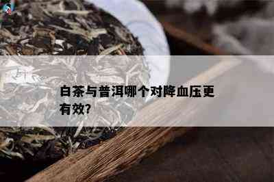 白茶与普洱哪个对降血压更有效？