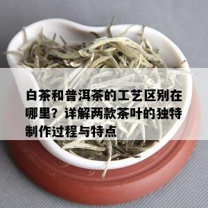 白茶和普洱茶的工艺区别在哪里？详解两款茶叶的独特制作过程与特点