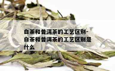 白茶和普洱茶的工艺区别-白茶和普洱茶的工艺区别是什么