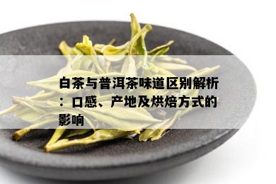 白茶与普洱茶味道区别解析：口感、产地及烘焙方式的影响