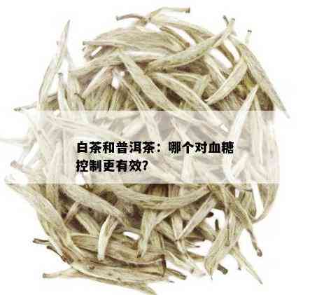 白茶和普洱茶：哪个对血糖控制更有效？