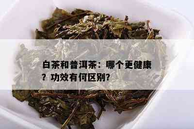 白茶和普洱茶：哪个更健康？功效有何区别？