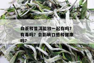 白茶和普洱能放一起存吗？有吗？会影响口感和健康吗？