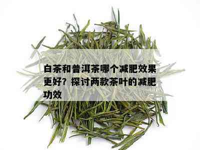 白茶和普洱茶哪个减肥效果更好？探讨两款茶叶的减肥功效