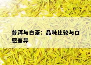 普洱与白茶：品味比较与口感差异