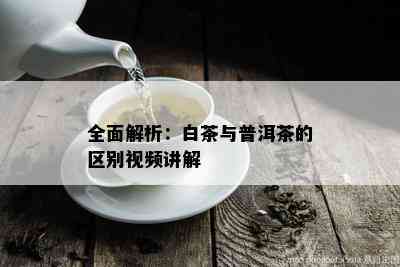 全面解析：白茶与普洱茶的区别视频讲解