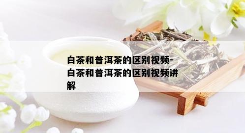 白茶和普洱茶的区别视频-白茶和普洱茶的区别视频讲解