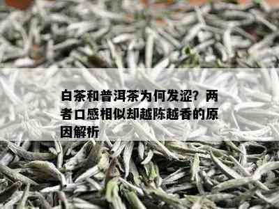 白茶和普洱茶为何发涩？两者口感相似却越陈越香的原因解析