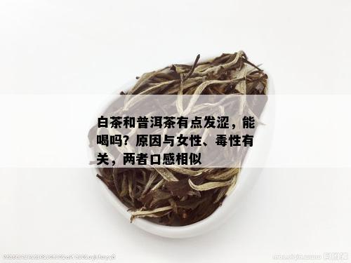 白茶和普洱茶有点发涩，能喝吗？原因与女性、性有关，两者口感相似