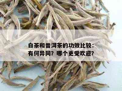 白茶和普洱茶的功效比较：有何异同？哪个更受欢迎？