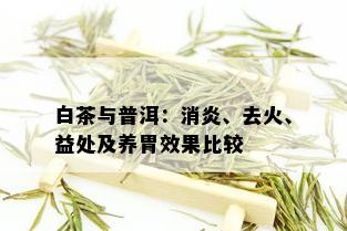 白茶与普洱：消炎、去火、益处及养胃效果比较