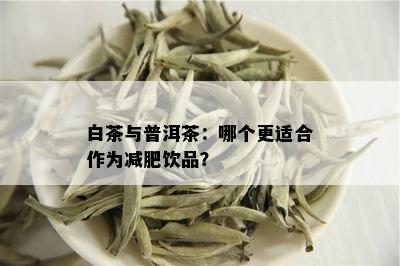 白茶与普洱茶：哪个更适合作为减肥饮品？