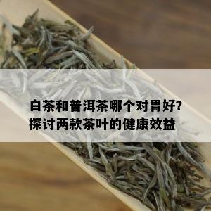 白茶和普洱茶哪个对胃好？探讨两款茶叶的健康效益