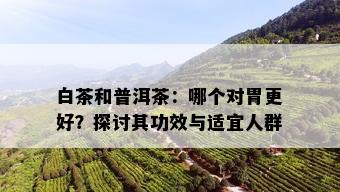 白茶和普洱茶：哪个对胃更好？探讨其功效与适宜人群