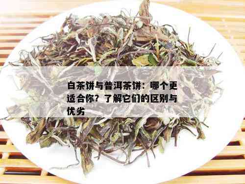 白茶饼与普洱茶饼：哪个更适合你？了解它们的区别与优劣