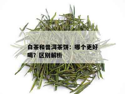 白茶和普洱茶饼：哪个更好喝？区别解析