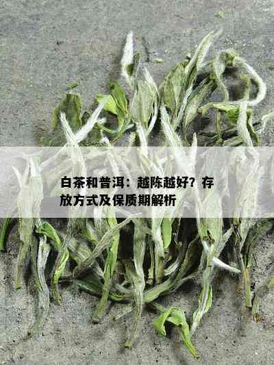 白茶和普洱：越陈越好？存放方式及保质期解析