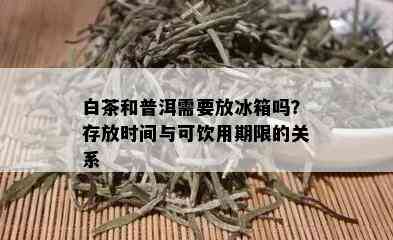 白茶和普洱需要放冰箱吗？存放时间与可饮用期限的关系