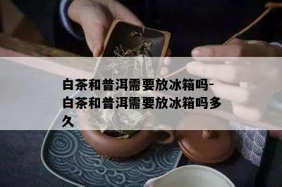 白茶和普洱需要放冰箱吗-白茶和普洱需要放冰箱吗多久